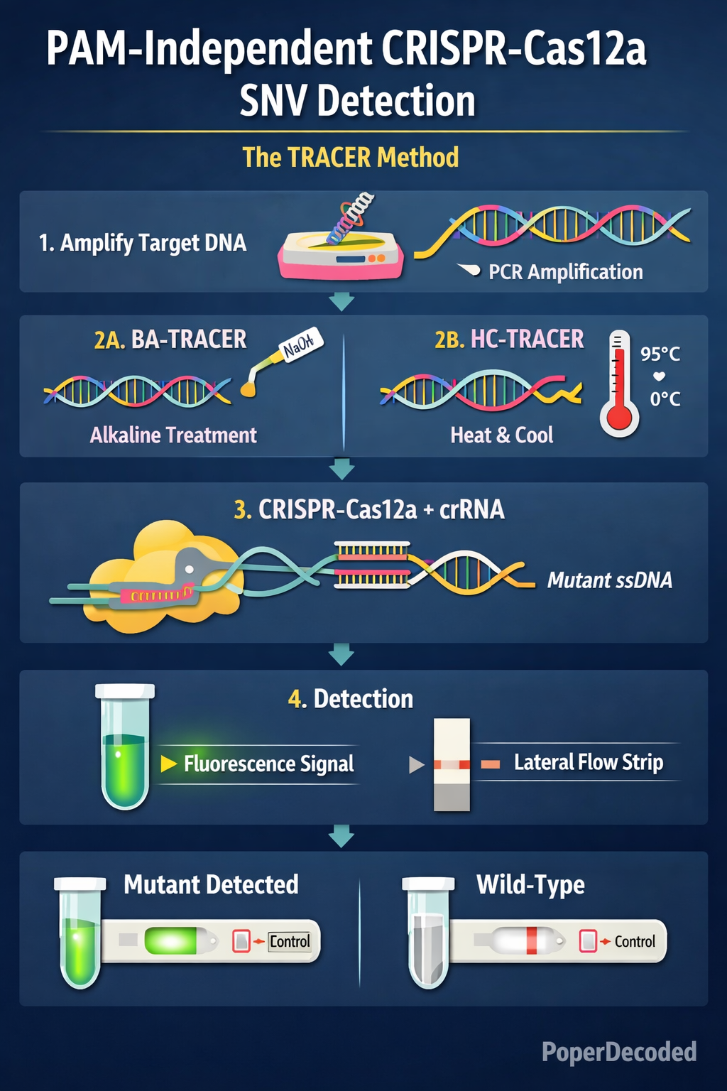 jacs pam independent crispr detection