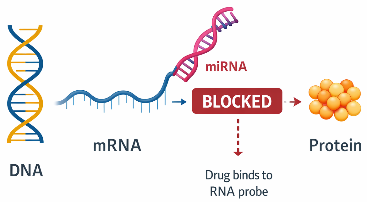 What is mi-RNA?
