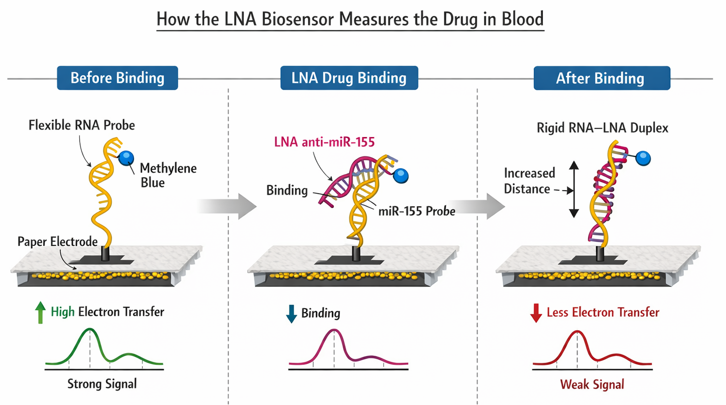 mechanism of lna drug detection