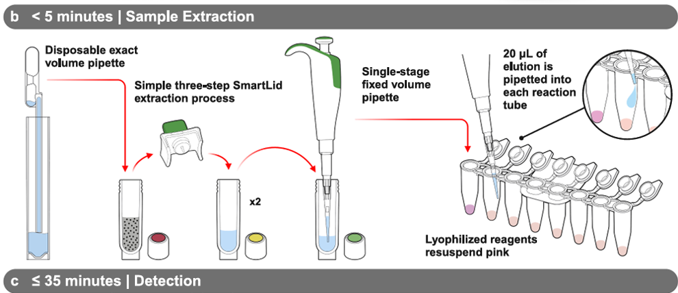 dragonfly sample extraction