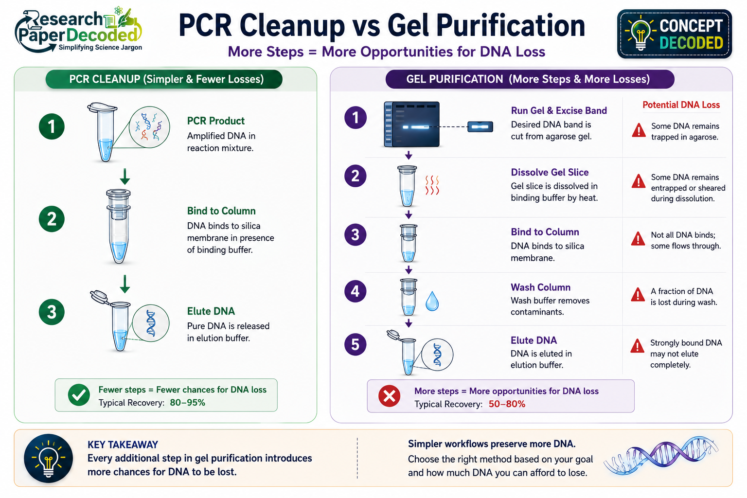pcr clean up vs gel purification