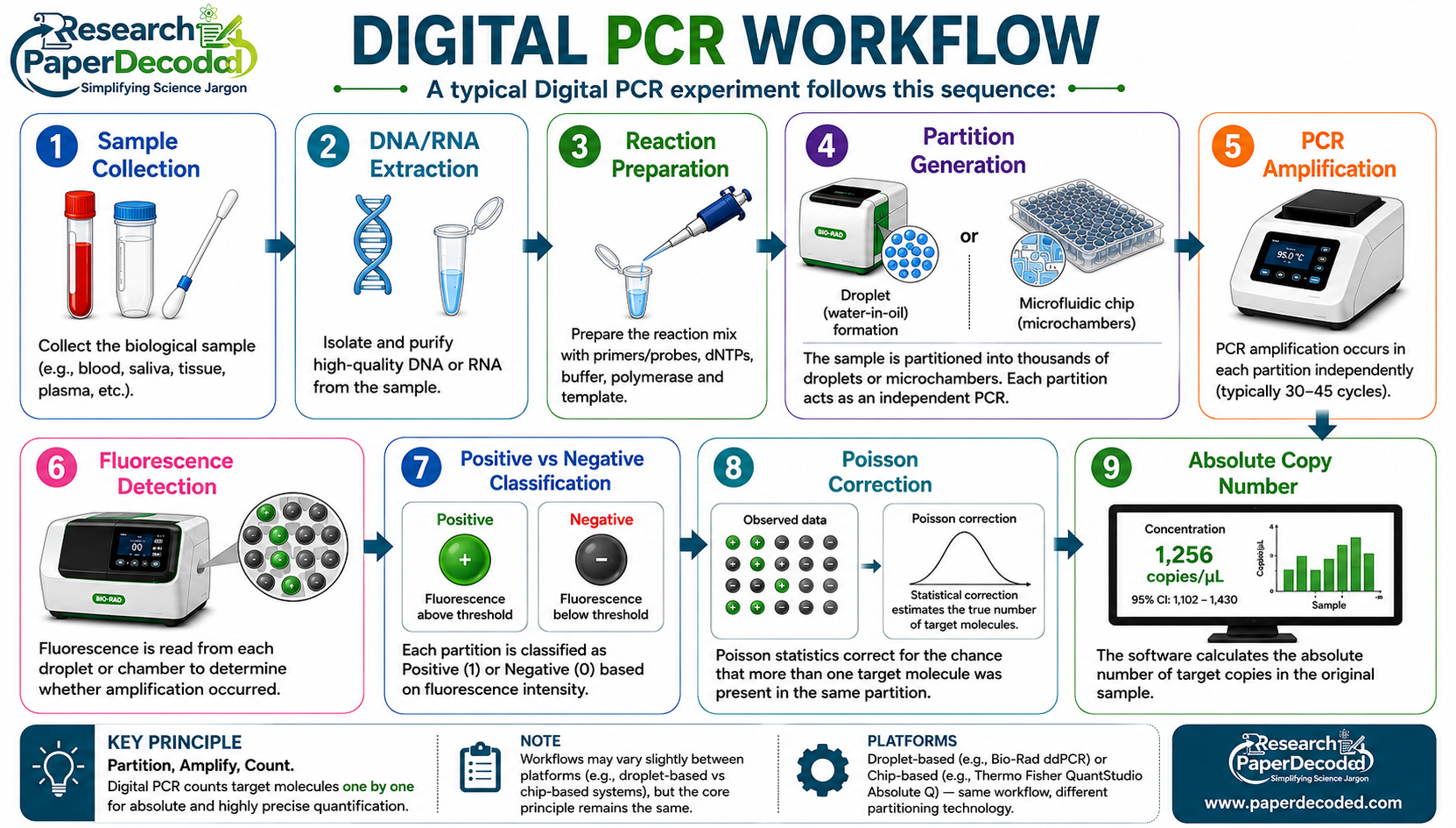 workflow for digital pcr